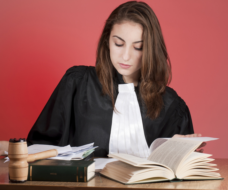Litigation Law Services
